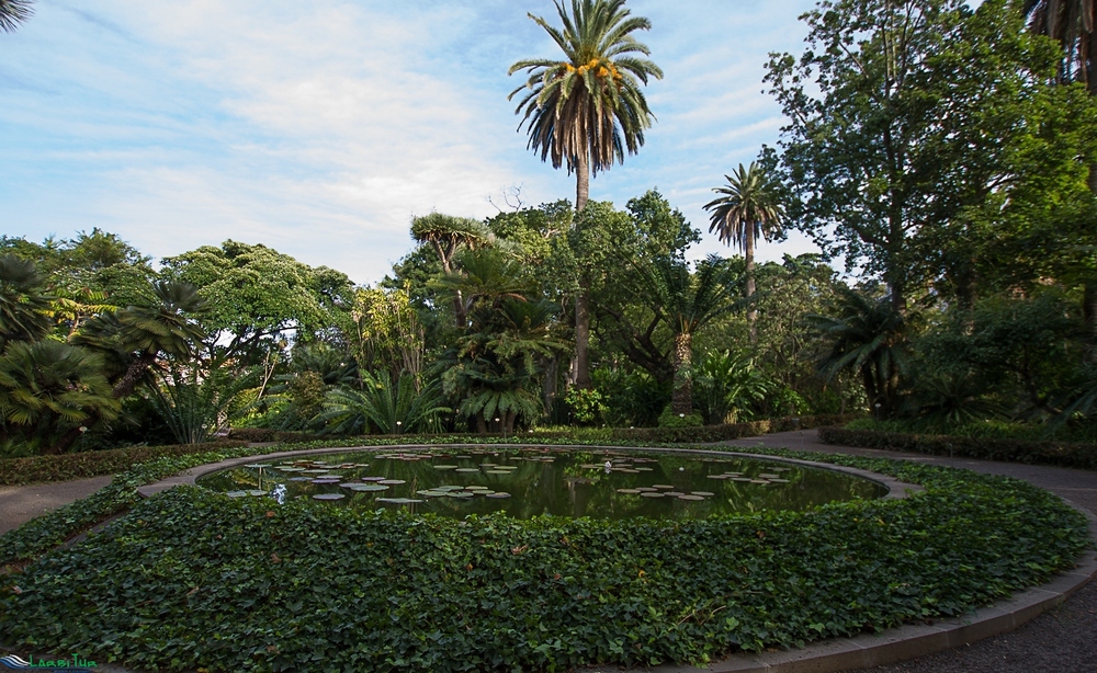Jardin-Botanico-2