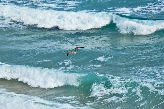 af03fe0989bf7d1b7c42a728a9e44e98