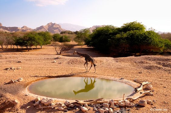 d955100b0dfdbb1d4b7c200e18a8c605